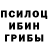 Псилоцибиновые грибы Magic Shrooms epichewie