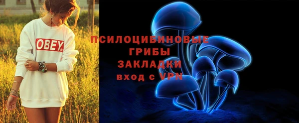экстази Приозерск