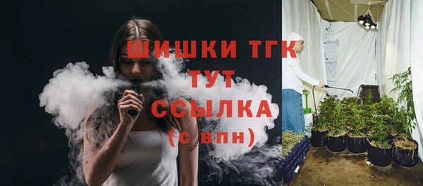 шишки Протвино