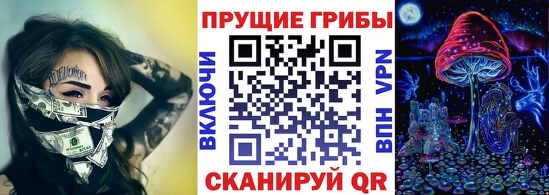 сколько стоит  Кингисепп  Псилоцибиновые грибы MAGIC MUSHROOMS 
